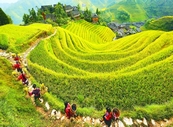 復(fù)件 2889_hanm_1370328615875.jpg